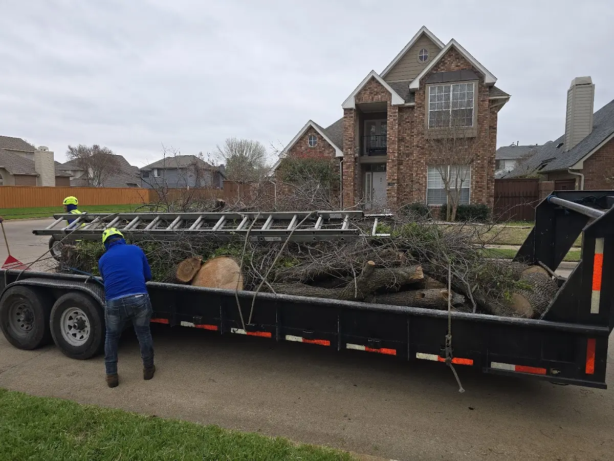 Expert Tree Fertilization with proper safety equipment in High Rolls Mountain Park